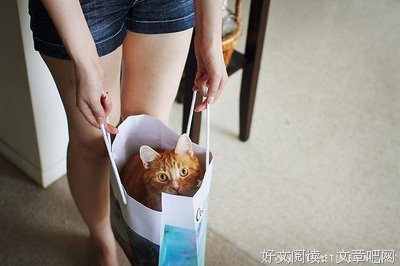 最经典的琉玄精彩语录