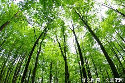 关于秦观精彩语录