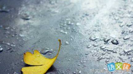 《心情》经典句子