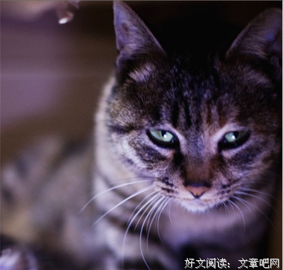 接连2起持刀杀人事件：因为漂亮，就该死吗？