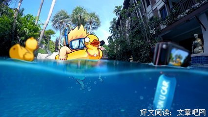 为什么别人只能996，而她却可以环游世界？