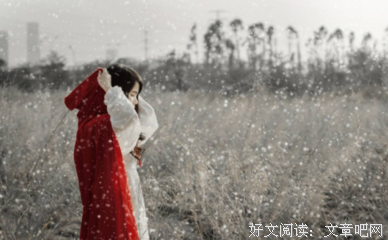 最经典的《春雪》小说句子