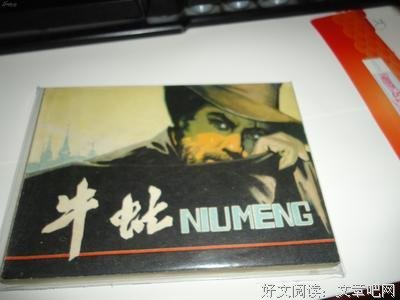 最全的《牛虻》好段摘抄