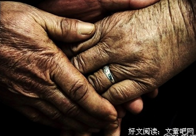 最全的《纸婚》经典语句大全