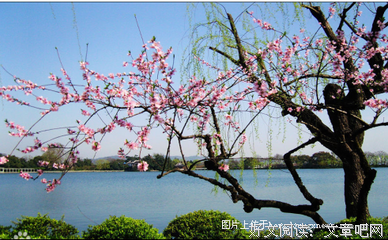苏轼：苦难之后，最怕那一抹柔情