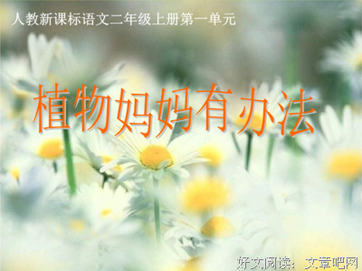 最新的《苍耳》好段摘抄大全