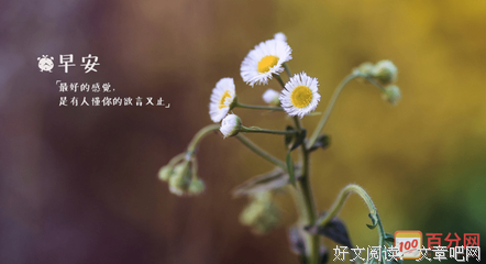 《青春》经典语录