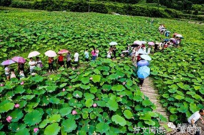 远安格言警句