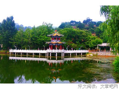 关于灵慧的唯美语录