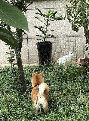 怀疑另一半爱上了别人，你应该怎么办？