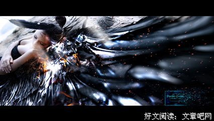 《堕羽》的句子