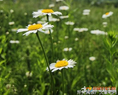 2019余秋雨经典名句