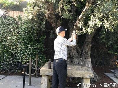 关于冯小刚名言