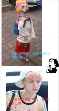 鹿晗名言名句