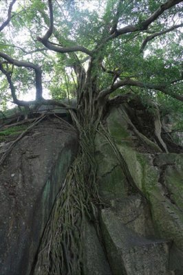 《qq空间》经典名句大全