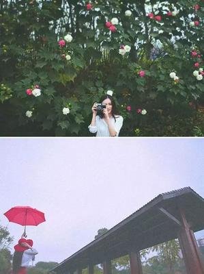 《流萤集》经典语句