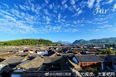 我是那种在感情里比对方更容易心碎的人
