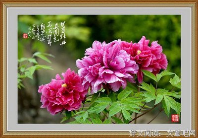 描写艳绝的经典句子