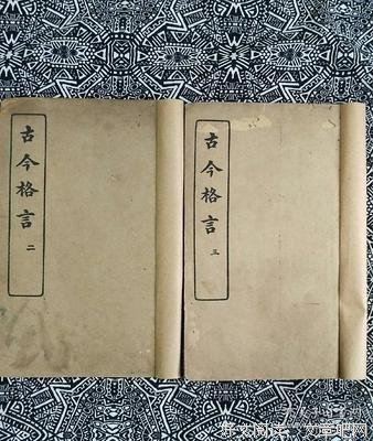关于稍有不慎的格言