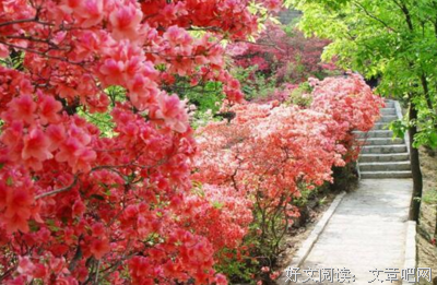 关于庄生梦名言名句