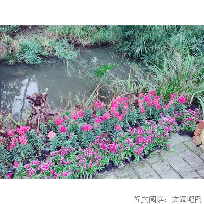 真正的幸福，是学会爱自己