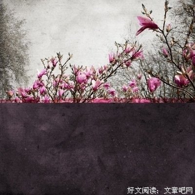 案上青灯优美的句子