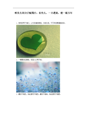 一他了万年句子