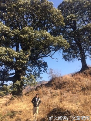 关于雪融化家能能当汪能当汪界才上叫叫没成春国要为的句子