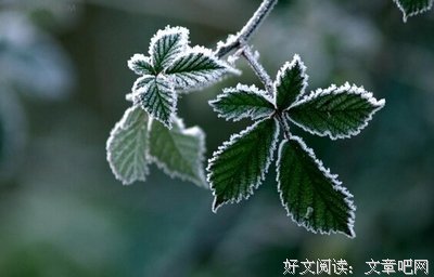 好句什么用样格们为么是自己喜欢的好词好句