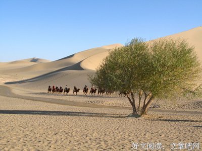 最全的齐一经典语录