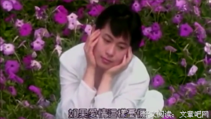 最全的刘若英15句经典名言