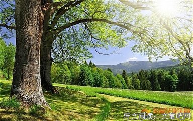 最经典的周梦蝶名言