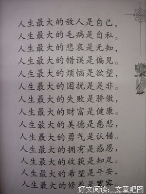 最经典的大笨淡的格言