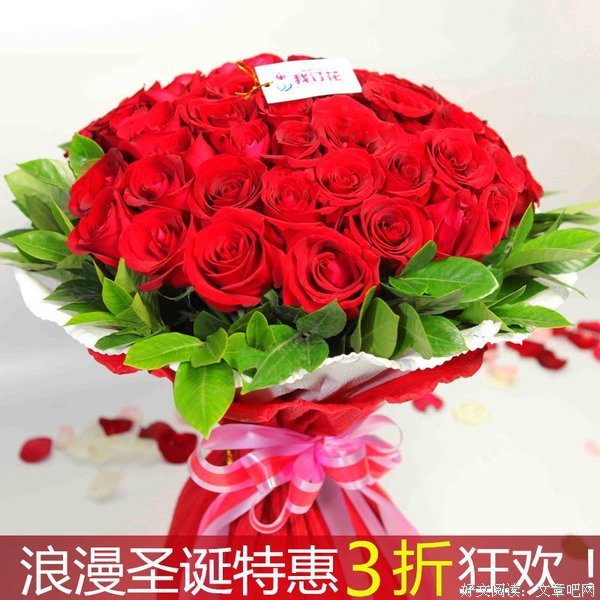 最全的《红玫瑰》好段摘抄