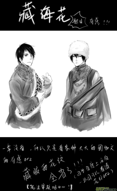 最全的《藏海花》佳句摘抄大全