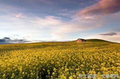 最全的《视觉志》经典语录大全