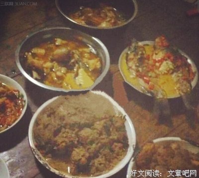 《一树人生》佳句摘抄大全