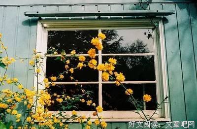 《亲爱的人》经典语句
