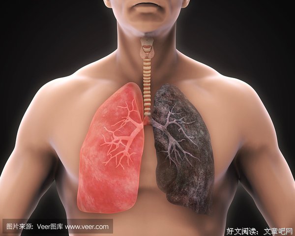中国7.4亿人饱受二手烟危害：“我的肺部，不是你吸烟的烟灰缸！”