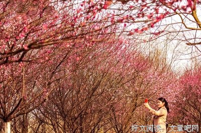 春光明媚的语句摘抄_关于春光明媚的语句