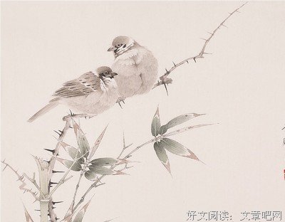 关于苏心名言名句