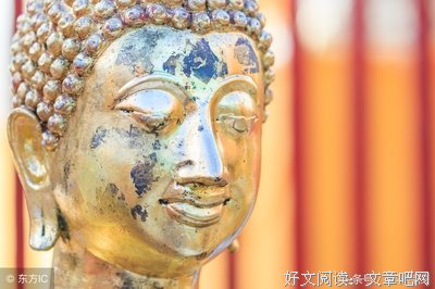 致6月：在变老的路上，善待自己