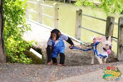 迟到的故小天句子