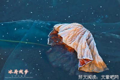 《残梦》的句子