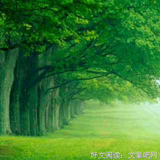 关于曾奇峰名句欣赏