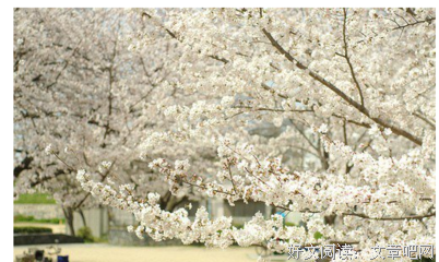 有关杀老师名言名句