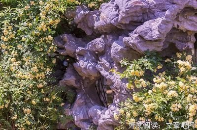 人到中年，什么最贵？