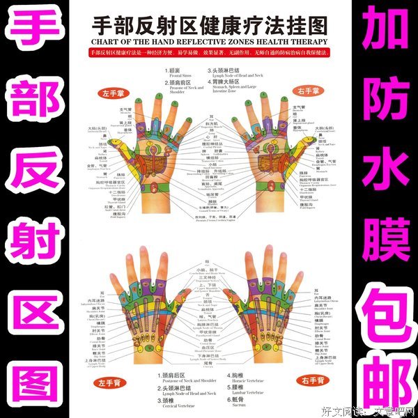 最新的《掷地有声》小说句子