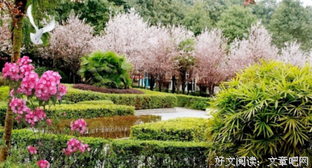 最新的《月童度河》经典句子