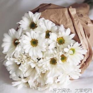 最经典的《梦落芳华》好段摘抄